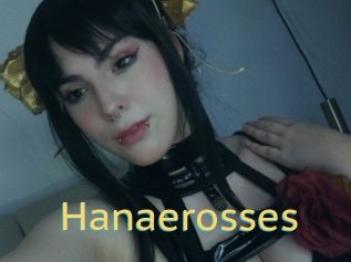 Hanaerosses