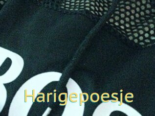 Harigepoesje