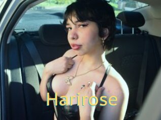 Harirose