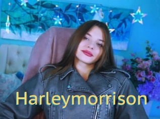 Harleymorrison