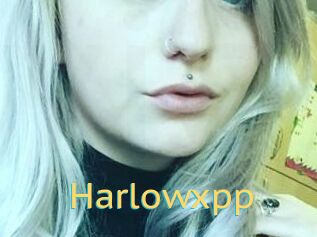 Harlowxpp