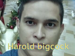 Harold_bigcock