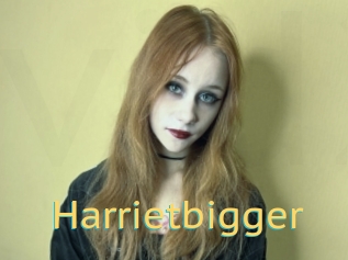 Harrietbigger