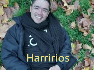 Harririos