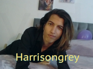 Harrisongrey