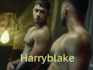 Harryblake