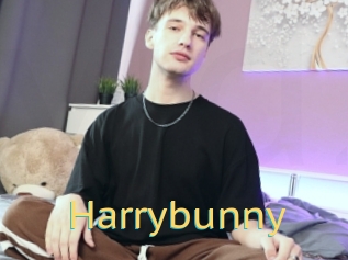 Harrybunny
