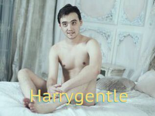 Harrygentle