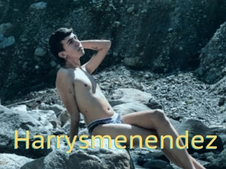 Harrysmenendez