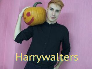Harrywalters