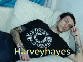 Harveyhayes