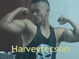 Harveytecson