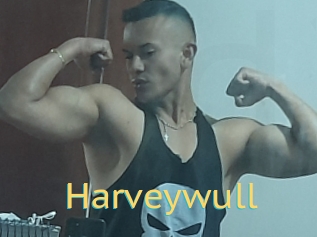 Harveywull
