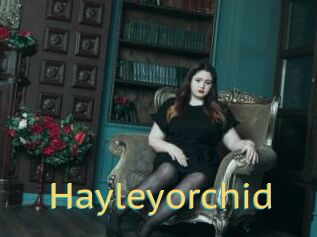 Hayleyorchid