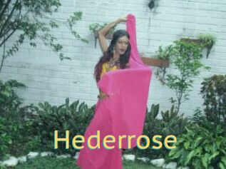 Hederrose