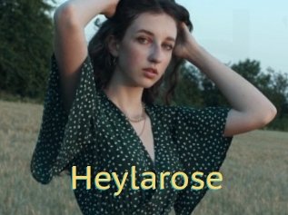 Heylarose
