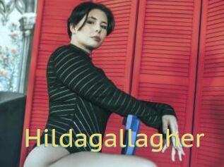 Hildagallagher