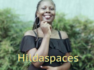 Hildaspaces