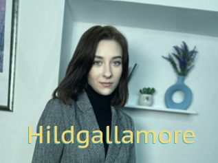 Hildgallamore