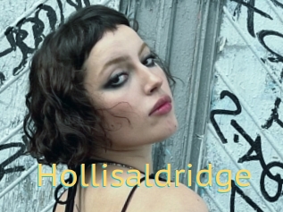 Hollisaldridge