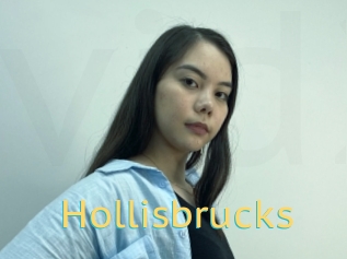 Hollisbrucks