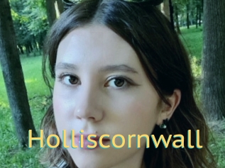Holliscornwall