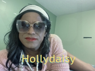 Hollydaisy