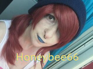 Honeybee66