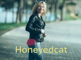 Honeyedcat