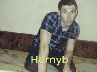 Hornyb
