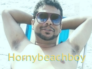 Hornybeachboy