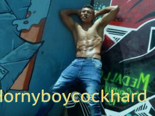 Hornyboycockhard