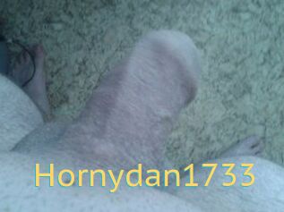 Hornydan1733