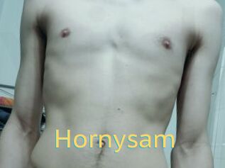 Hornysam