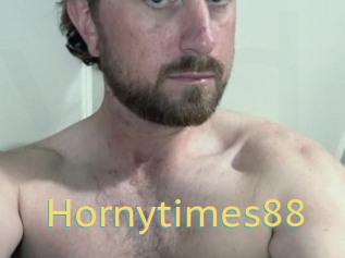 Hornytimes88
