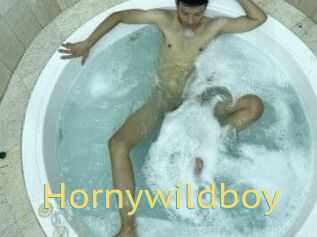 Hornywildboy
