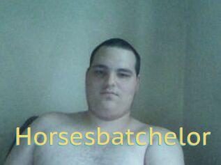Horsesbatchelor