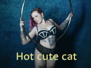 Hot_cute_cat