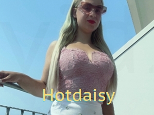 Hotdaisy