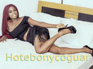 Hotebonycoguar