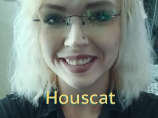 Houscat