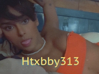 Htxbby313