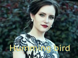 Humming_bird