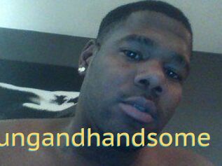 Hungandhandsome