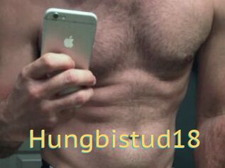 Hungbistud18