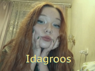 Idagroos