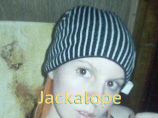 Jackalope