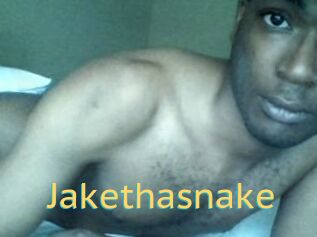 Jake_tha_snake