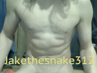 Jakethesnake312