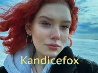 Kandicefox